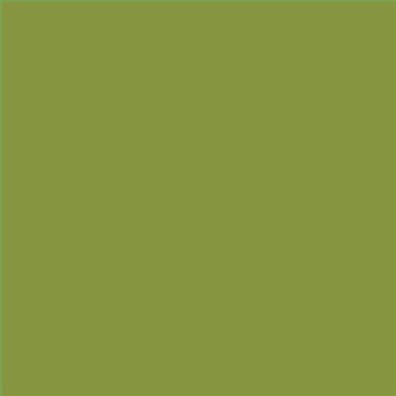 PINTURA PLASTICA MATE JUNOPROF CALIDAD SUPERIOR (OFERTA) COLOR S 3050-G50Y