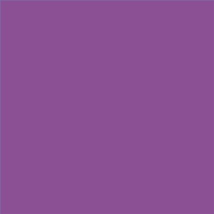 PINTURA PLASTICA MATE JUNOPROF CALIDAD SUPERIOR (OFERTA) COLOR S 3050-R50B
