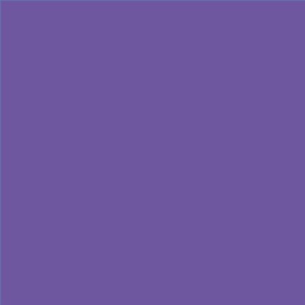 PINTURA PLASTICA MATE JUNOPROF CALIDAD SUPERIOR (OFERTA) COLOR S 3050-R60B