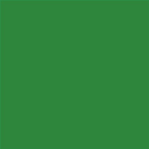PINTURA PLASTICA MATE JUNOPROF CALIDAD SUPERIOR (OFERTA) COLOR S 3060-G20Y