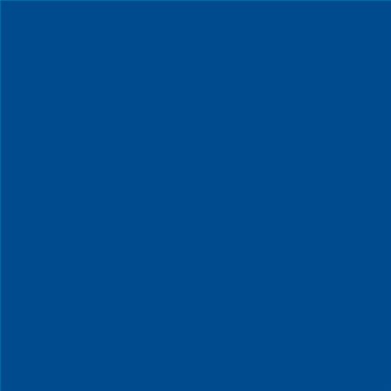 PINTURA PLASTICA MATE JUNOPROF CALIDAD SUPERIOR (OFERTA) COLOR S 3560-R90B