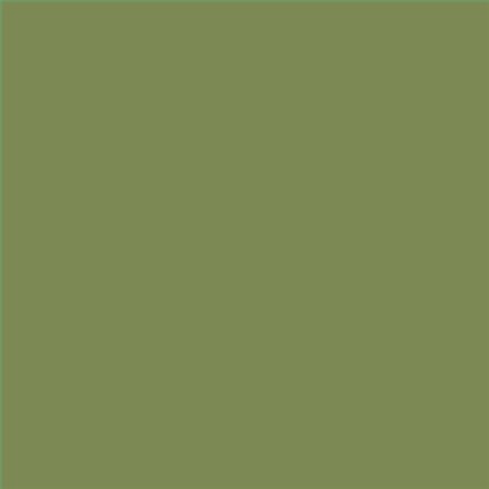 PINTURA PLASTICA MATE JUNOPROF CALIDAD SUPERIOR (OFERTA) COLOR S 4030-G50Y