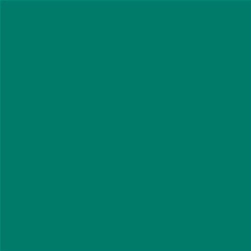 PINTURA PLASTICA MATE JUNOPROF CALIDAD SUPERIOR (OFERTA) COLOR S 4040-B80G