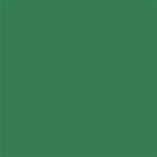 PINTURA PLASTICA MATE JUNOPROF CALIDAD SUPERIOR (OFERTA) COLOR S 4040-G10Y