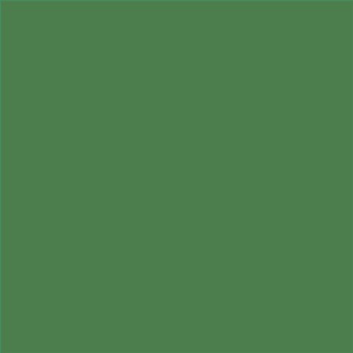 PINTURA PLASTICA MATE JUNOPROF CALIDAD SUPERIOR (OFERTA) COLOR S 4040-G20Y