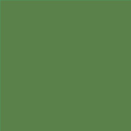 PINTURA PLASTICA MATE JUNOPROF CALIDAD SUPERIOR (OFERTA) COLOR S 4040-G30Y