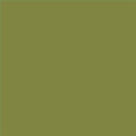 PINTURA PLASTICA MATE JUNOPROF CALIDAD SUPERIOR (OFERTA) COLOR S 4040-G60Y