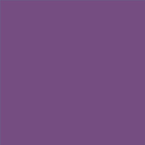 PINTURA PLASTICA MATE JUNOPROF CALIDAD SUPERIOR (OFERTA) COLOR S 4040-R50B