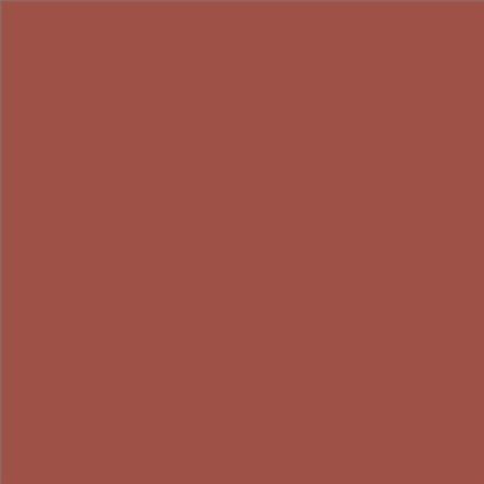 PINTURA PLASTICA MATE JUNOPROF CALIDAD SUPERIOR (OFERTA) COLOR S 4040-Y80R