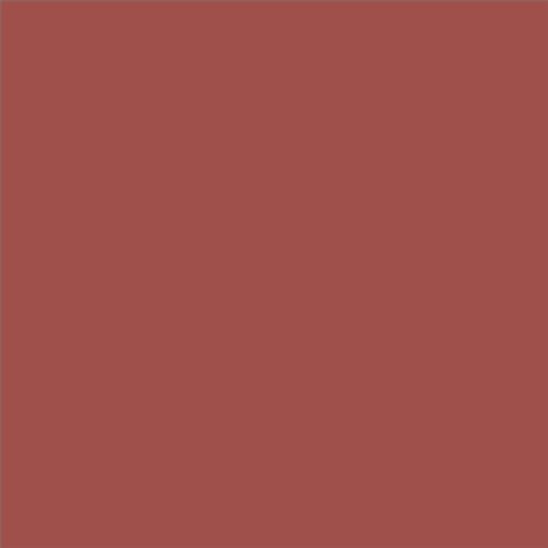 PINTURA PLASTICA MATE JUNOPROF CALIDAD SUPERIOR (OFERTA) COLOR S 4040-Y90R