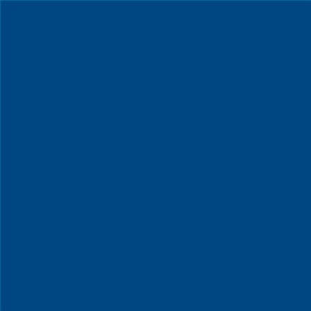 PINTURA PLASTICA MATE JUNOPROF CALIDAD SUPERIOR (OFERTA) COLOR S 4050-R80B