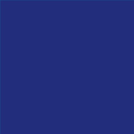 PINTURA PLASTICA MATE JUNOPROF CALIDAD SUPERIOR (OFERTA) COLOR S 4055-R70B