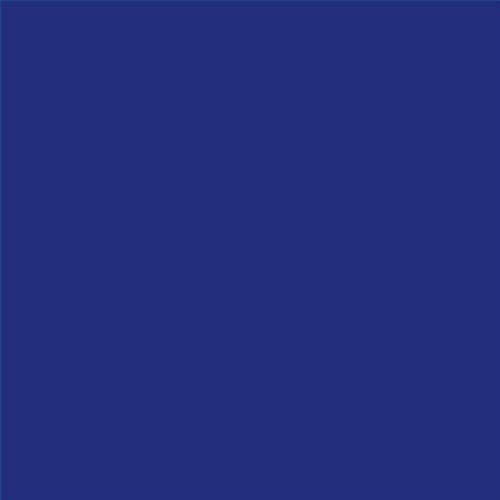 PINTURA PLASTICA MATE JUNOPROF CALIDAD SUPERIOR (OFERTA) COLOR S 4055-R70B