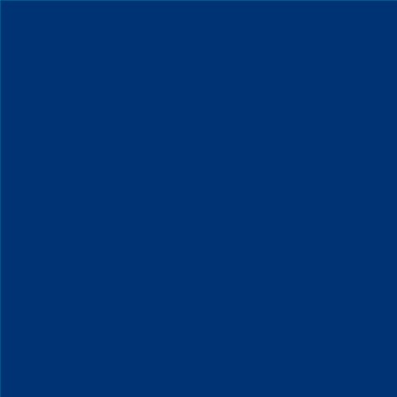 PINTURA PLASTICA MATE JUNOPROF CALIDAD SUPERIOR (OFERTA) COLOR S 4550-R80B