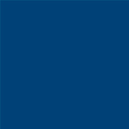 PINTURA PLASTICA MATE JUNOPROF CALIDAD SUPERIOR (OFERTA) COLOR S 4550-R90B