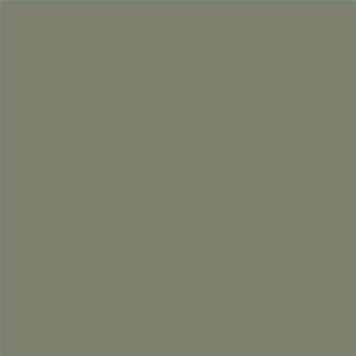 PINTURA PLASTICA MATE JUNOPROF CALIDAD SUPERIOR (OFERTA) COLOR S 5010-G50Y