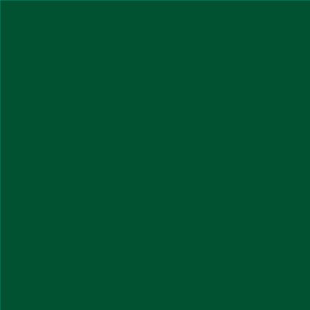 PINTURA PLASTICA MATE JUNOPROF CALIDAD SUPERIOR (OFERTA) COLOR S 5540-G10Y