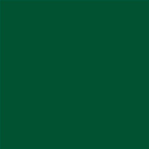 PINTURA PLASTICA MATE JUNOPROF CALIDAD SUPERIOR (OFERTA) COLOR S 5540-G10Y