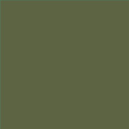 PINTURA PLASTICA MATE JUNOPROF CALIDAD SUPERIOR (OFERTA) COLOR S 6020-G50Y