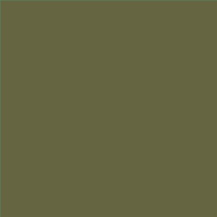 PINTURA PLASTICA MATE JUNOPROF CALIDAD SUPERIOR (OFERTA) COLOR S 6020-G70Y