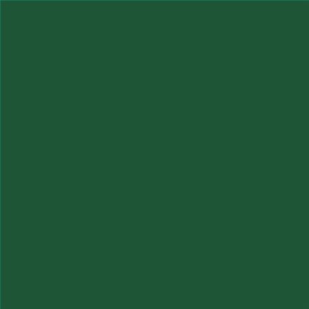 PINTURA PLASTICA MATE JUNOPROF CALIDAD SUPERIOR (OFERTA) COLOR S 6030-G10Y