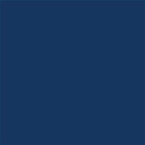 PINTURA PLASTICA MATE JUNOPROF CALIDAD SUPERIOR (OFERTA) COLOR S 6030-R80B