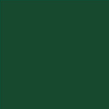 PINTURA PLASTICA MATE JUNOPROF CALIDAD SUPERIOR (OFERTA) COLOR S 6530-G10Y
