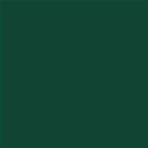 PINTURA PLASTICA MATE JUNOPROF CALIDAD SUPERIOR (OFERTA) COLOR S 7020-G
