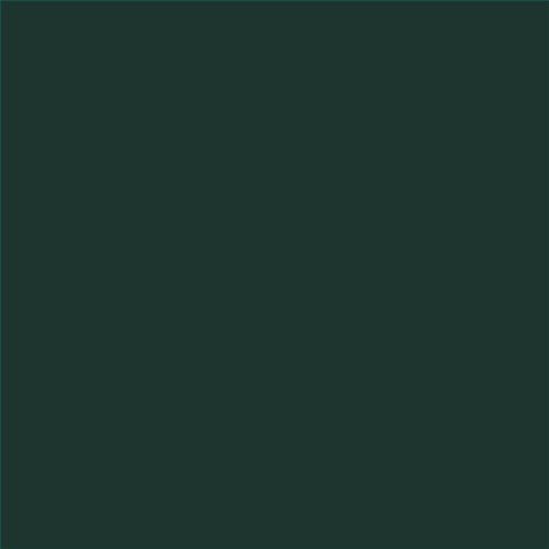 PINTURA PLASTICA MATE JUNOPROF CALIDAD SUPERIOR (OFERTA) COLOR S 8010-B90G