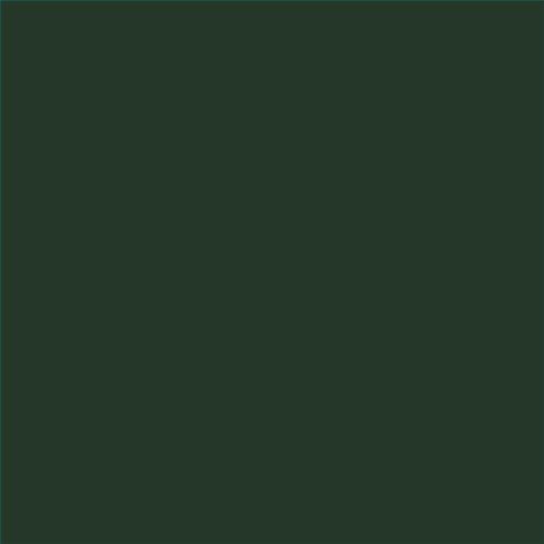 PINTURA PLASTICA MATE JUNOPROF CALIDAD SUPERIOR (OFERTA) COLOR S 8010-G10Y