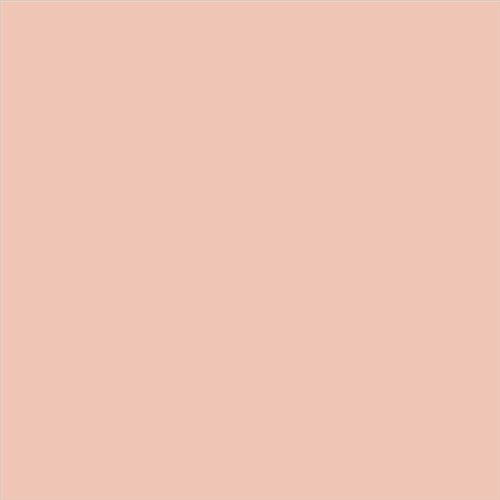 PINTURA PLASTICA MATE JUNOPROF CALIDAD SUPERIOR (OFERTA) COLOR SV 045