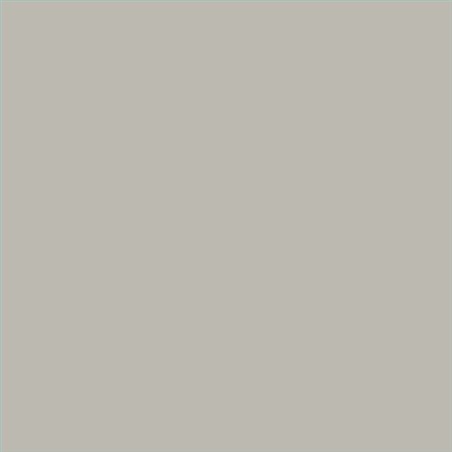 PINTURA PLASTICA MATE JUNOPROF CALIDAD SUPERIOR (OFERTA) COLOR SV 095