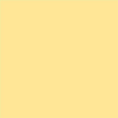 PINTURA PLASTICA MATE JUNOPROF CALIDAD SUPERIOR (OFERTA) COLOR SV 115