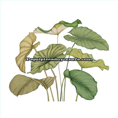 m-wdwt202227940v-mural-wonderwalls-3-casadeco-hojas-moderno-tejido-no-tejido-super-lavable