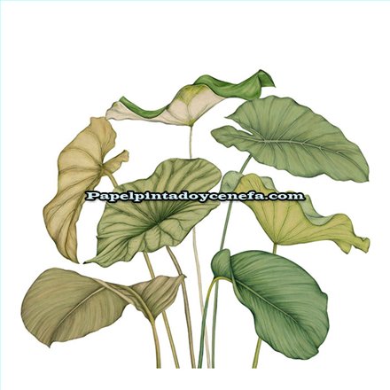m-wdwt202227942v-mural-wonderwalls-3-casadeco-hojas-moderno-tejido-no-tejido-super-lavable