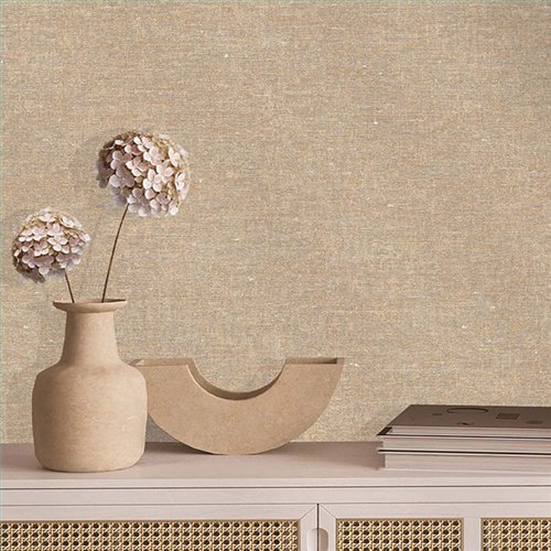 Ref.TN29003 estancia decorada con liso Beige y fondo Marrón, terra nova