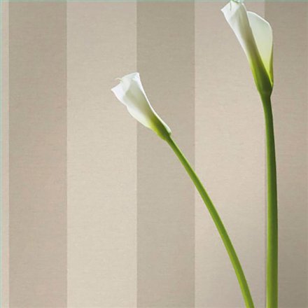 Ref.025-BOO foto de ambiente rayas bamboo fondo Beige con Topo