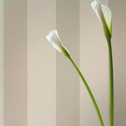 Ref.025-BOO foto de ambiente rayas bamboo fondo Beige con Topo