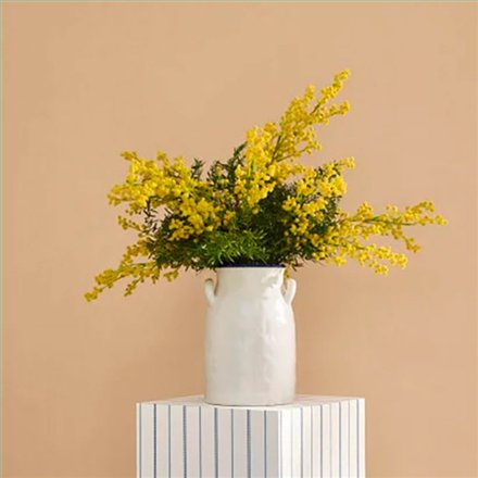 Ref.FAMI-202732432 ambiente con maison de famille liso en Ocre