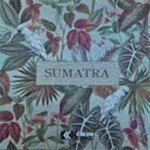 Decoración con SUMATRA de Kemen papeles pintados naturales y resistentes